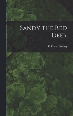 Sandy the Red Deer 1