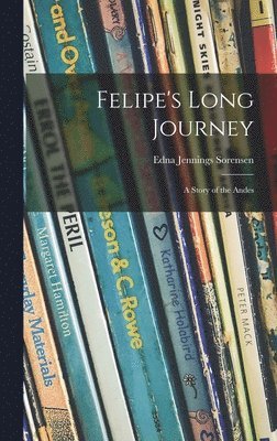 bokomslag Felipe's Long Journey