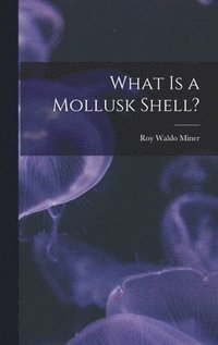 bokomslag What is a Mollusk Shell?