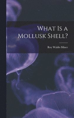What is a Mollusk Shell?