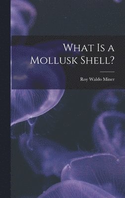 What is a Mollusk Shell? 1