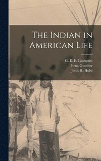 bokomslag The Indian in American Life