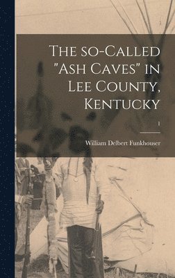 bokomslag The So-called 'ash Caves' in Lee County, Kentucky; 1