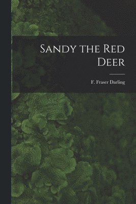 Sandy the Red Deer 1