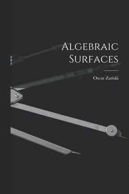 Algebraic Surfaces 1