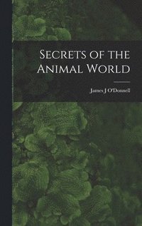 bokomslag Secrets of the Animal World