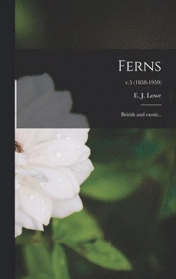 Ferns 1