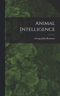 bokomslag Animal Intelligence [microform]