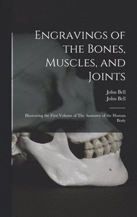 bokomslag Engravings of the Bones, Muscles, and Joints