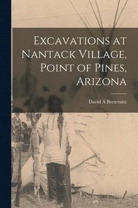 bokomslag Excavations at Nantack Village, Point of Pines, Arizona