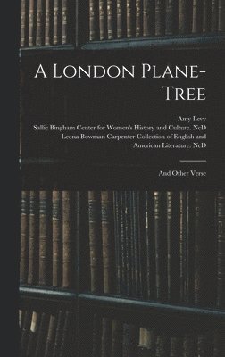 London Plane-tree