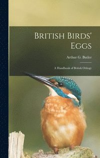 bokomslag British Birds' Eggs