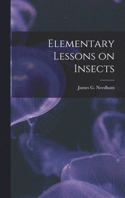 bokomslag Elementary Lessons on Insects