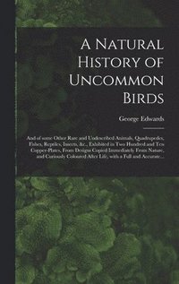 bokomslag A Natural History of Uncommon Birds