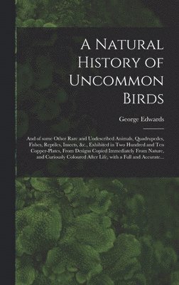 bokomslag A Natural History of Uncommon Birds