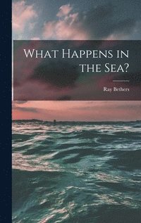 bokomslag What Happens in the Sea?