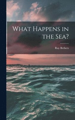 bokomslag What Happens in the Sea?
