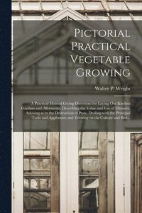 bokomslag Pictorial Practical Vegetable Growing; a Practical Manual Giving Directions for Laying out Kitchen Gardens and Allotments, Describing the Value and Use of Manures, Advising as to the Destruction of...