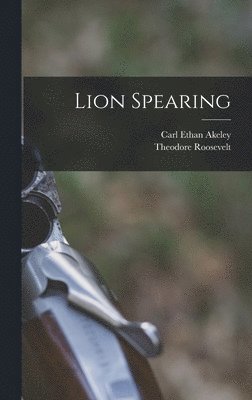 Lion Spearing