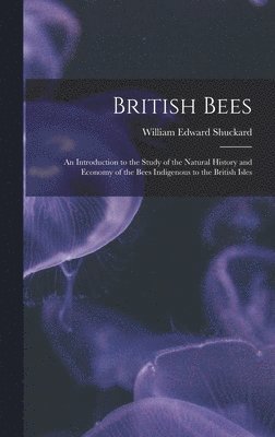 British Bees 1