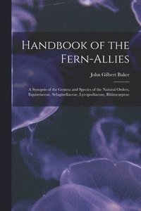 bokomslag Handbook of the Fern-allies