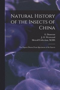 bokomslag Natural History of the Insects of China