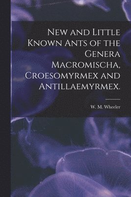 New and Little Known Ants of the Genera Macromischa, Croesomyrmex and Antillaemyrmex. 1