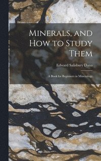 bokomslag Minerals, and How to Study Them