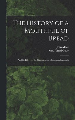 bokomslag The History of a Mouthful of Bread
