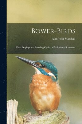 Bower-birds: Their Displays and Breeding Cycles; a Preliminary Statement 1