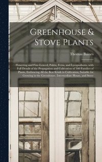 bokomslag Greenhouse & Stove Plants; Flowering and Fine-leaved, Palms, Ferns, and Lycopodiums, With Full Details of the Propagation and Cultivation of 500 Families of Plants, Embracing All the Best Kinds in ...