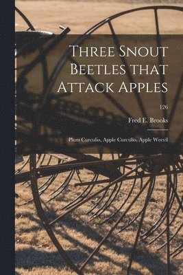 Three Snout Beetles That Attack Apples 1