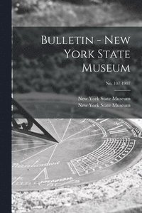 bokomslag Bulletin - New York State Museum; no. 107 1907