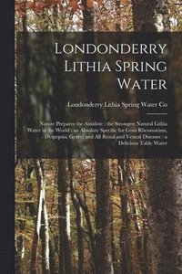 bokomslag Londonderry Lithia Spring Water