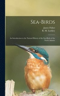 bokomslag Sea-birds: an Introduction to the Natural History of the Sea-birds of the North Atlantic