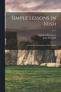 bokomslag Simple Lessons in Irish