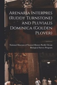 bokomslag Arenaria Interpres (ruddy Turnstone) and Pluvialis Dominica (golden Plover)