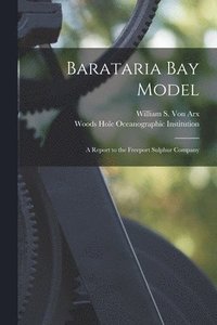 bokomslag Barataria Bay Model