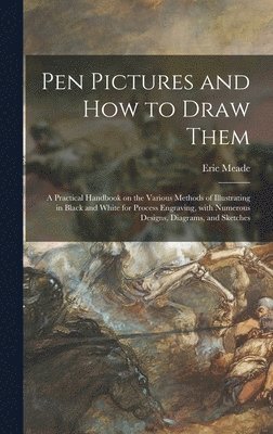 Pen Pictures and How to Draw Them 1