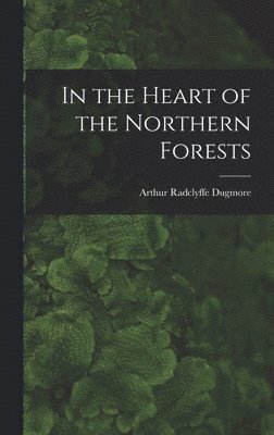 In the Heart of the Northern Forests 1