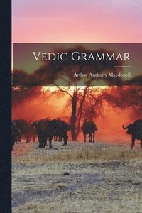 bokomslag Vedic Grammar