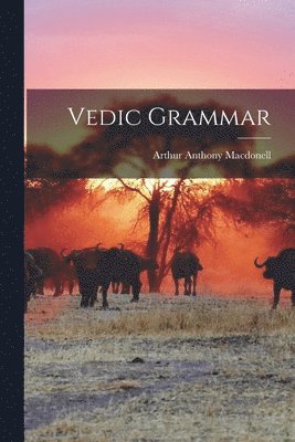Vedic Grammar 1