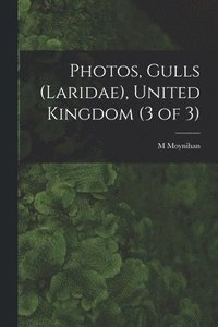 bokomslag Photos, Gulls (Laridae), United Kingdom (3 of 3)