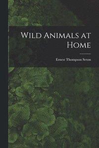bokomslag Wild Animals at Home [microform]