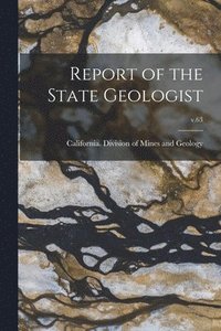 bokomslag Report of the State Geologist; v.63