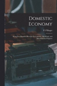 bokomslag Domestic Economy