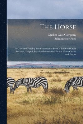 Horse 1