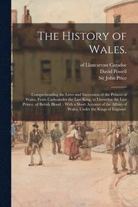 bokomslag The History of Wales.