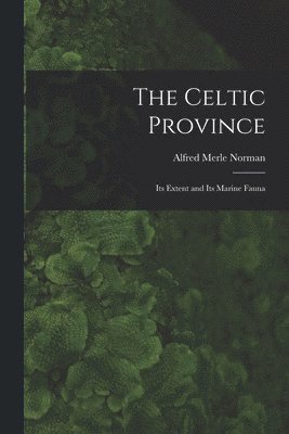 bokomslag Celtic Province
