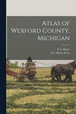 bokomslag Atlas of Wexford County, Michigan